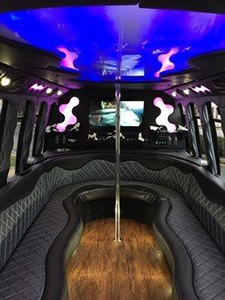 Party Bus for up to 21 people
